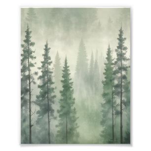 Misty Pine Forest Serenity Photo Print