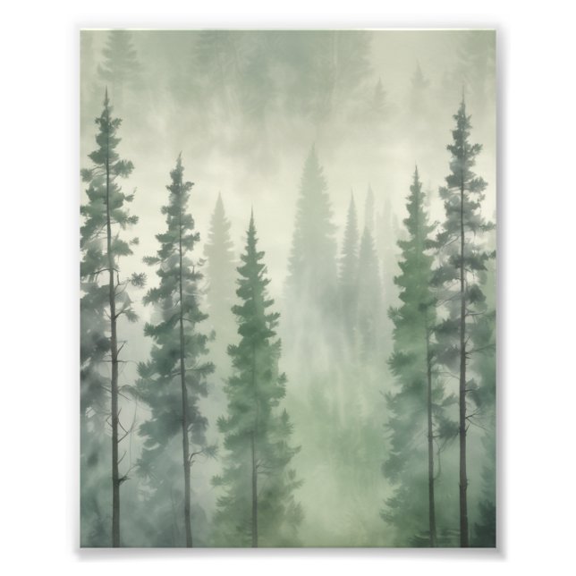 Misty Pine Forest Serenity Photo Print (Front)