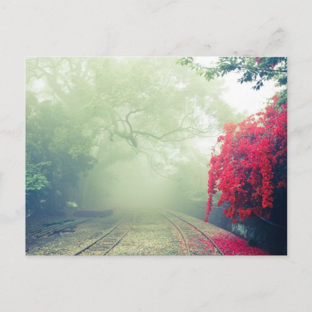 Misty Railroad Tracks Scenic Photo Holiday Postcard (Front)