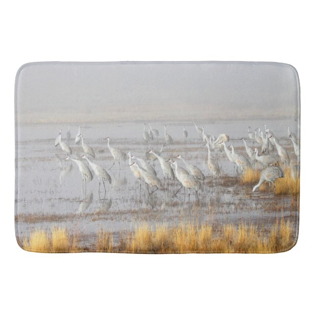 Misty Sandhill Cranes Bath Mat (Front)