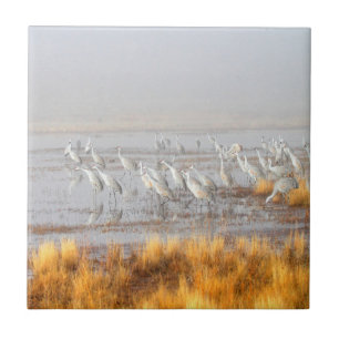 Misty Sandhill Cranes Ceramic Tile