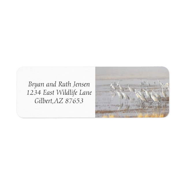 Misty Sandhill Cranes Return Address Label (Front)