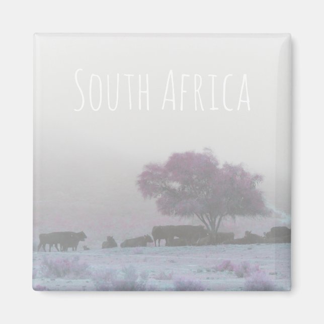 Misty South Africa Rural Landscape SA Magnet (Front)