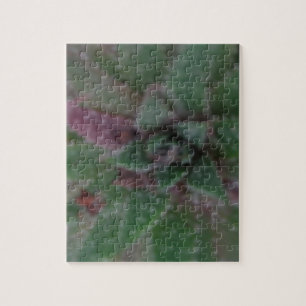 Misty Succulent, Green Purple, Nature, Flora Plant Jigsaw Puzzle