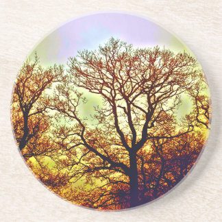MISTY SUN TREES COASTER