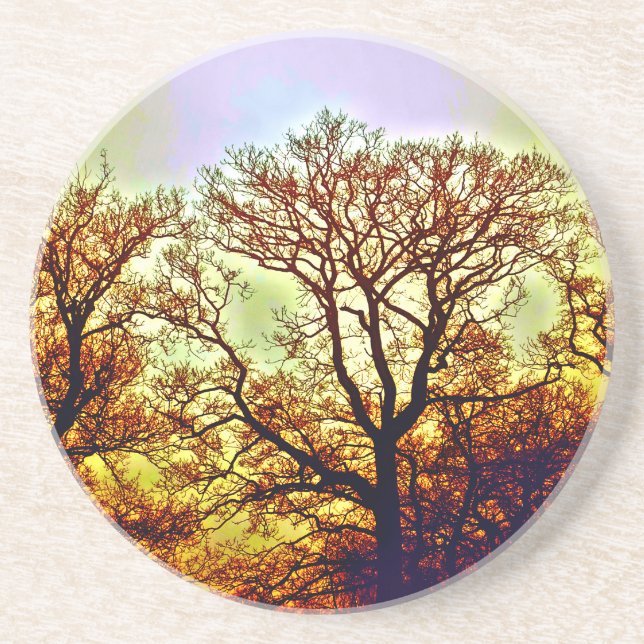 MISTY SUN TREES COASTER (Front)