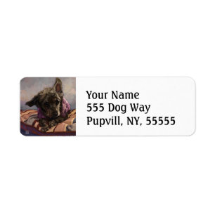Misty the Poodle Return Address Label