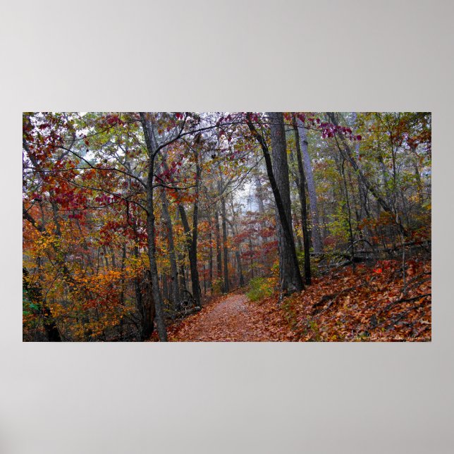 Misty Trail in the Colourful Autumn Forest Poster (Front)