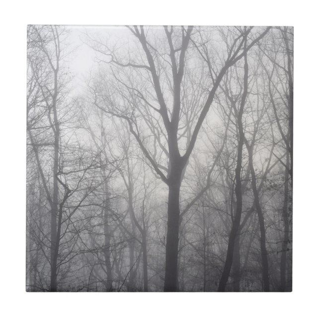 Misty Trees Grey Woodland Ceramic Tile (Front)