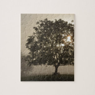 Misty Trees Jigsaw Puzzle