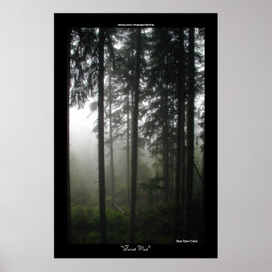 Misty Trees Wilderness Forest Photo Print