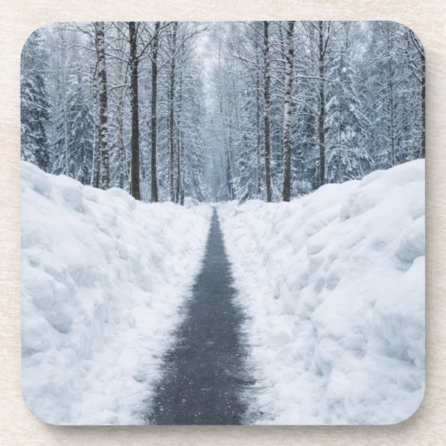Misty Winter Forest Path Winter Landscape Coaster (Front)