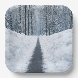 Misty Winter Forest Path Winter Landscape Paper Plate
