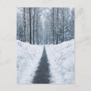 Misty Winter Forest Path Winter Landscape Postcard
