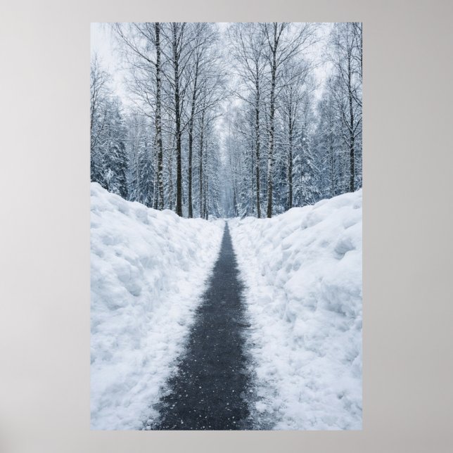 Misty Winter Forest Path Winter Landscape Poster (Front)