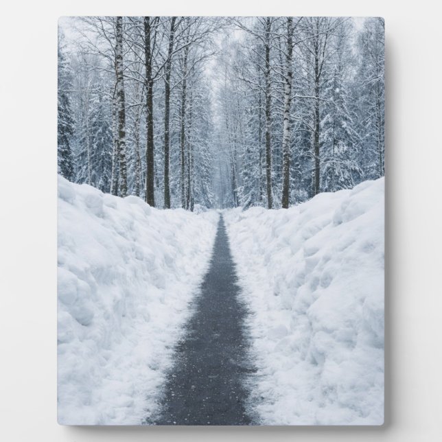 Misty Winter Forest Path Winter Landscape Poster Plaque (Front)
