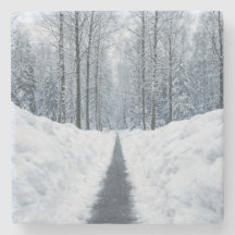 Misty Winter Forest Path Winter Landscape