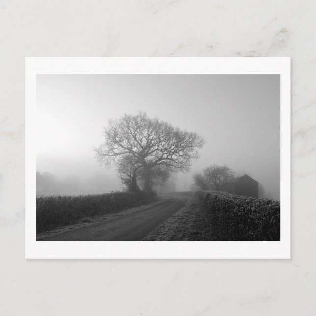 Misty Winter Morning: Cheshire, England Postcard (Front)