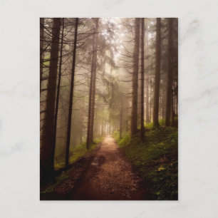 Misty Woodland Path Postcard