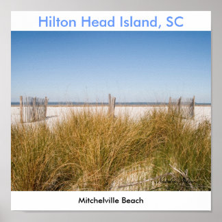 Mitchelville Beach 2008, Natalie Nelson Poster