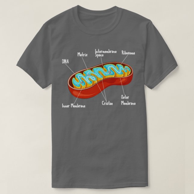 Mitochondria Cell Biology Biologist Science  T-Shirt (Design Front)