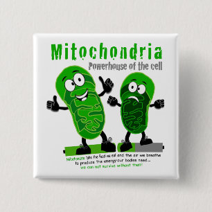 Mitochondria Powerhouse of the Cell 15 Cm Square Badge