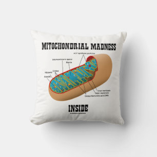 Mitochondrial Madness Inside Mitochondrion Biology Cushion