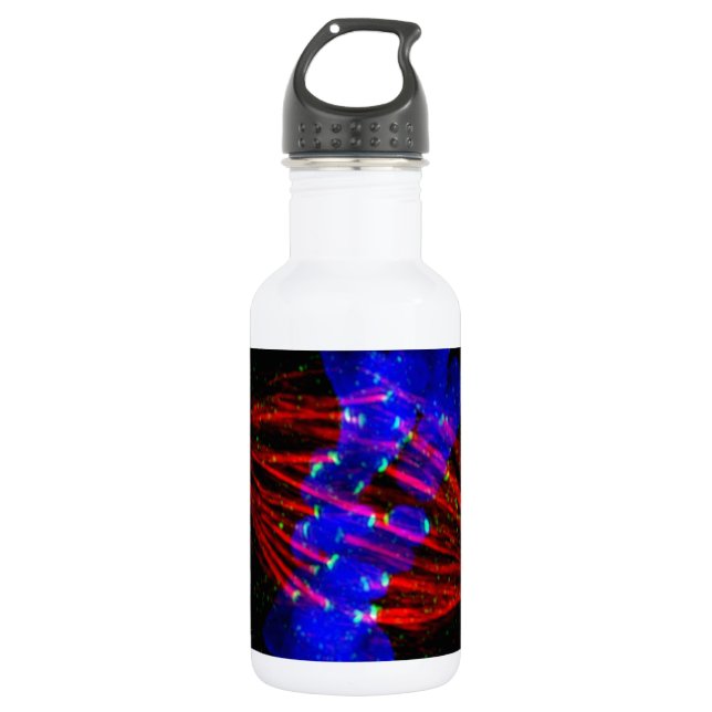 Mitotic Metaphase 532 Ml Water Bottle (Front)