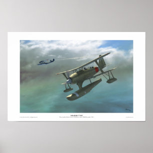 Mitsubishi F1M2 Poster