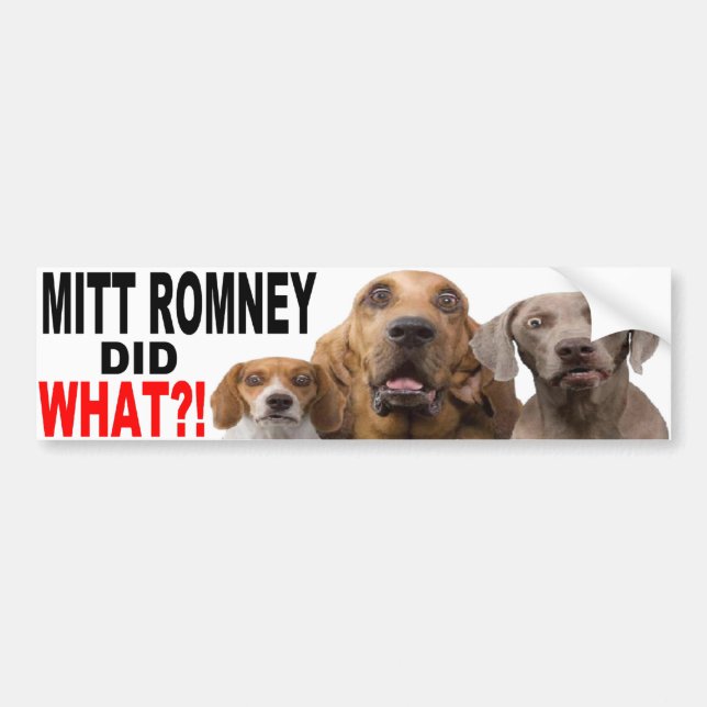 MITT ROMNEY DID WHAT?! Dog On Roof BUMPER STICKER (Front)
