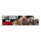 MITT ROMNEY DID WHAT?! Dog On Roof BUMPER STICKER
