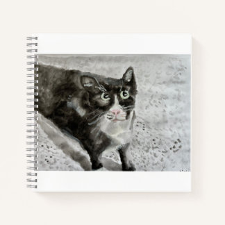 Mittens the kitten on a journal