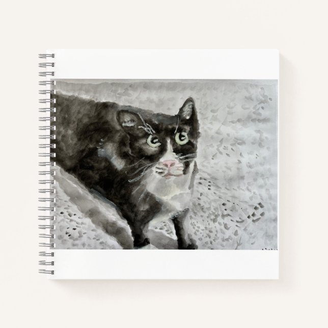 Mittens the kitten on a journal (Front)