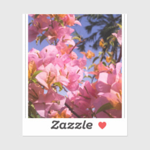 Mix Pink and Orange Bougainvillea Flowers