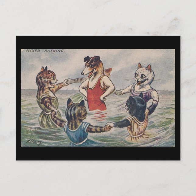 Mixed Bathing - Dog and Cats Postcard (Front)