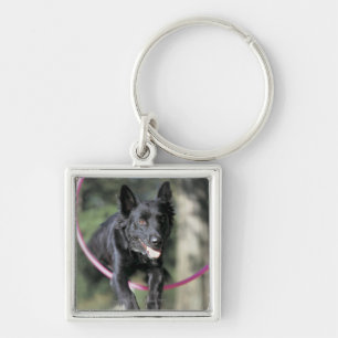 Mixed Border Collie Key Ring