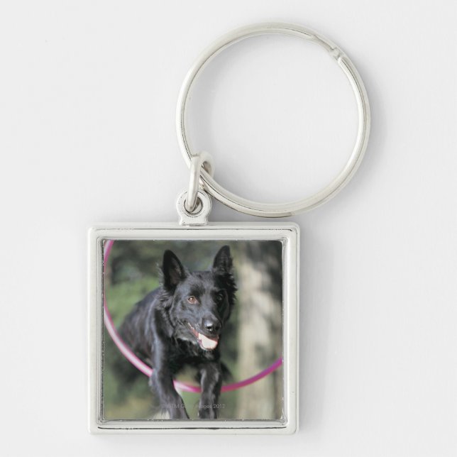 Mixed Border Collie Key Ring (Front)