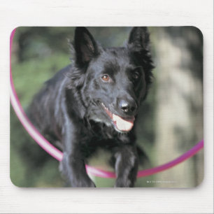 Mixed Border Collie Mouse Pad