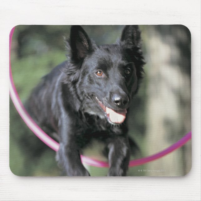 Mixed Border Collie Mouse Pad (Front)