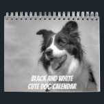 Mixed Breed Black and White Dog  Calendar<br><div class="desc">Brighten a dog lover's year with this beautiful Mixed Breed Black and White Dog Calendar featuring gorgeous photos of dogs of various breeds with their lovely expressive faces. Available in three sizes with changeable UK to US events. © Dafydd's Designs.</div>