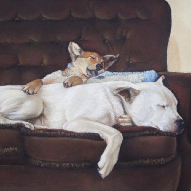 mixed breed cute puppy and sleeping white dog jigsaw puzzle (Creator Uploaded)