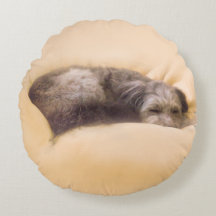 Mixed breed dog and blissful sleep (Yellow) Round