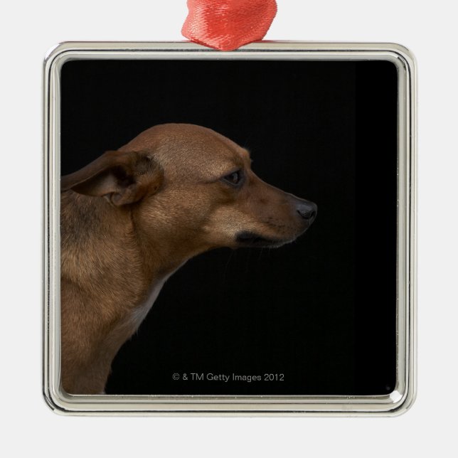 Mixed breed dog profile on black background metal tree decoration (Front)