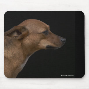 Mixed breed dog profile on black background mouse pad