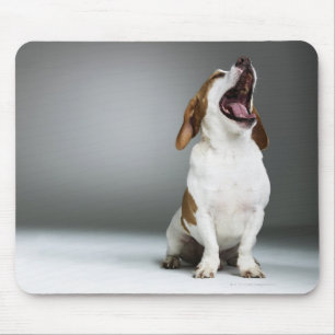 Mixed breed dog yawning mouse pad