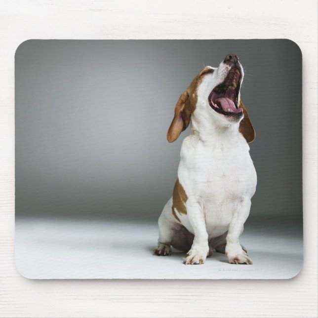 Mixed breed dog yawning mouse pad (Front)