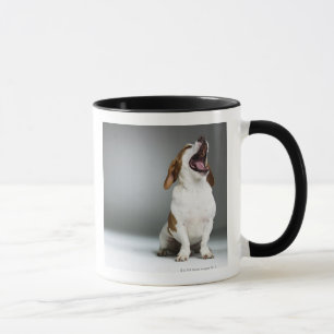 Mixed breed dog yawning mug