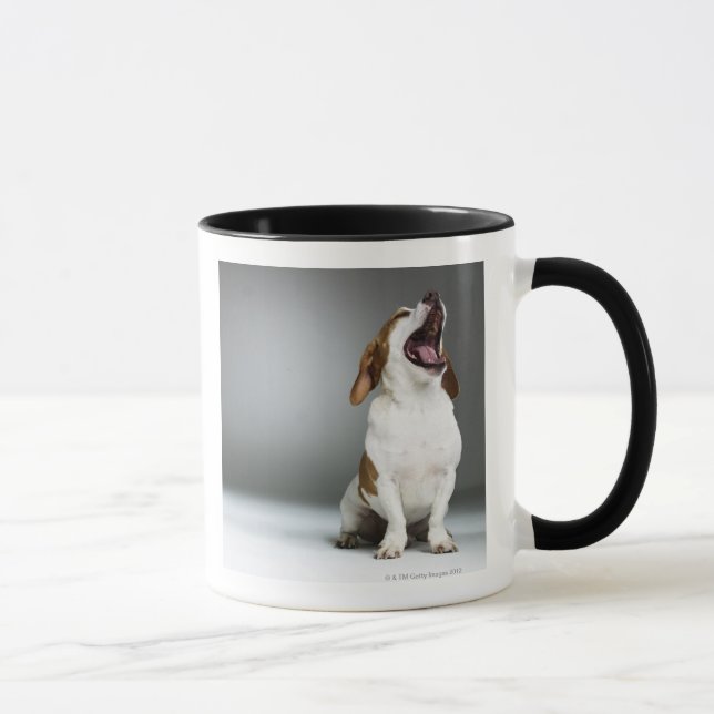 Mixed breed dog yawning mug (Right)