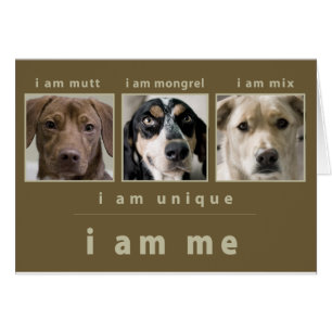 Mixed Breed: I Am Me