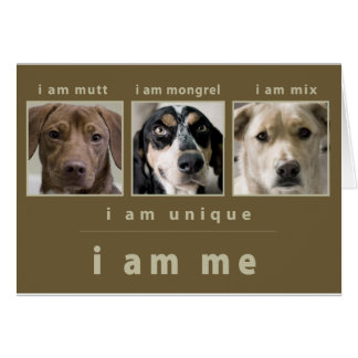 Mixed Breed: I Am Me